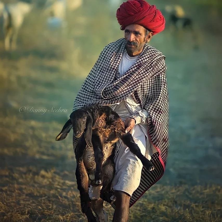 WhatsApp-Image-2022-07-26-at-8.08.34-PM